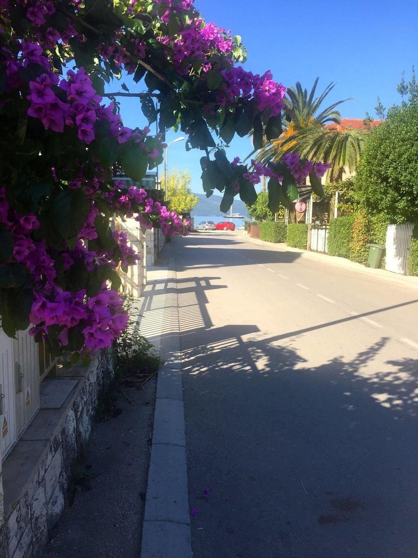 טיווט Boutique Hotel Villa Royal מראה חיצוני תמונה